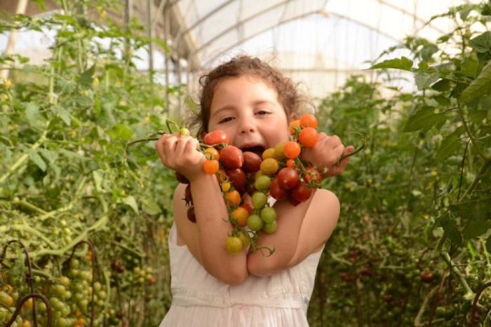 חינם עם בנק הפועלים, אטרקציות בחינם עם בנק הפועלים