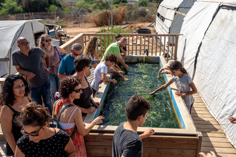 סיקורה – אטרקציה בעמק חפר