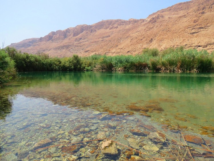 עין פשחה, שמורת עינות צוקים