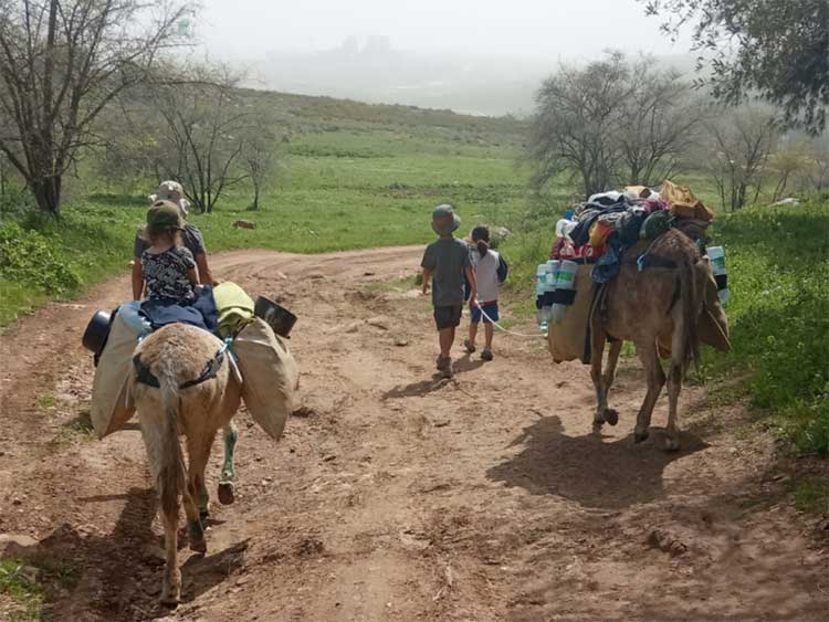 טיול חמורים בדרום אדום