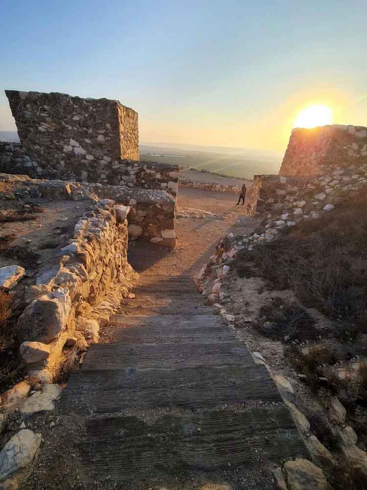 תל ערד, פעילות לילדים בפורים