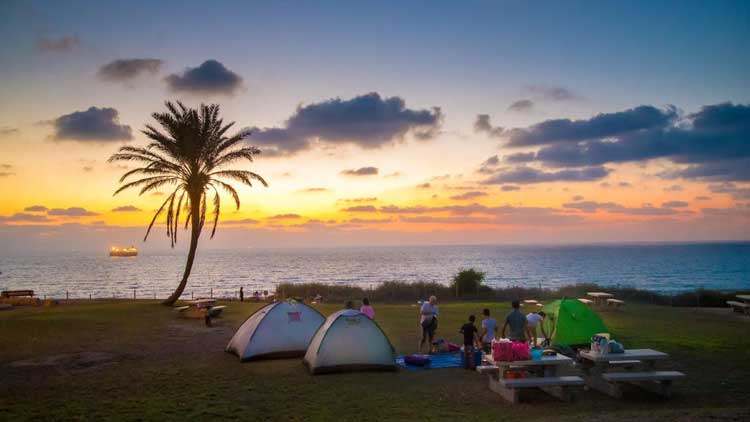 חניון-לילה-אשקלון-מנו-גרינשפן