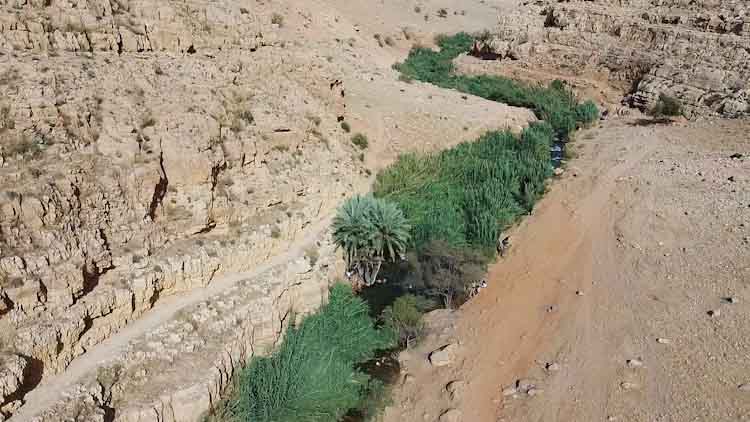 נחל עוג'ה הבריכה המרכזית