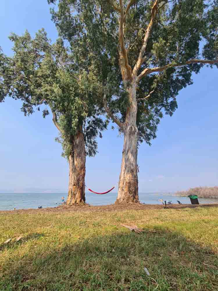 חוף דוגה, קמפינג בכנרת