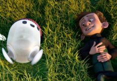 הבאג של רון