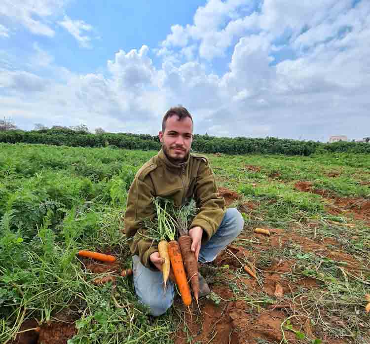 משוך בגזר