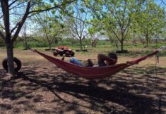 רייזרים לילדים גשר הצבים