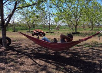 רייזרים לילדים גשר הצבים