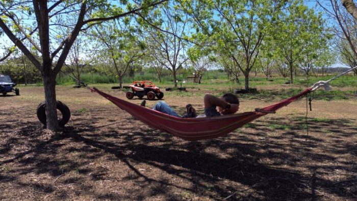 רייזרים לילדים גשר הצבים