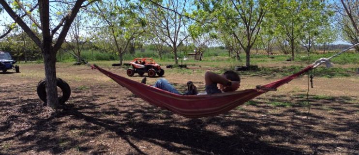 רייזרים לילדים גשר הצבים