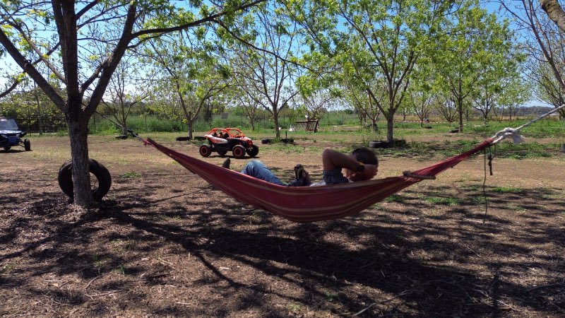 רייזרים לילדים גדר הצבים