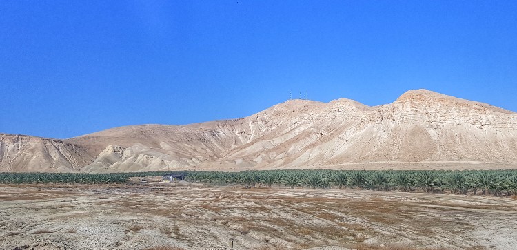 צילמה: שלגית אשטמקר