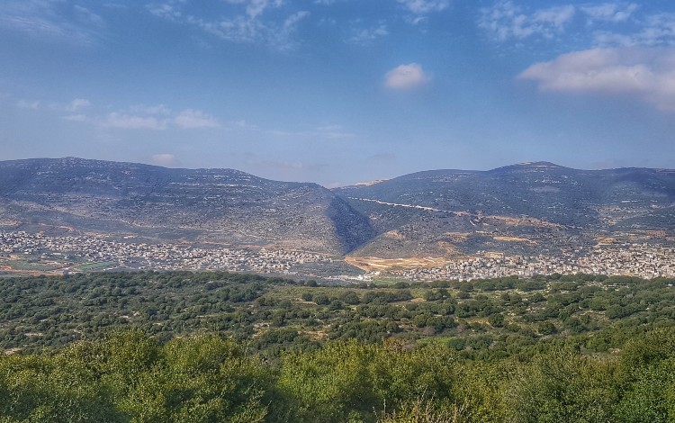 צילמה: שלגית אשטמקר