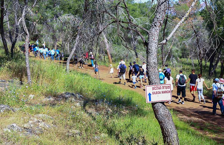כרטיסים לצעדת הגלבוע, כרטיסים לצעדת הגילבוע