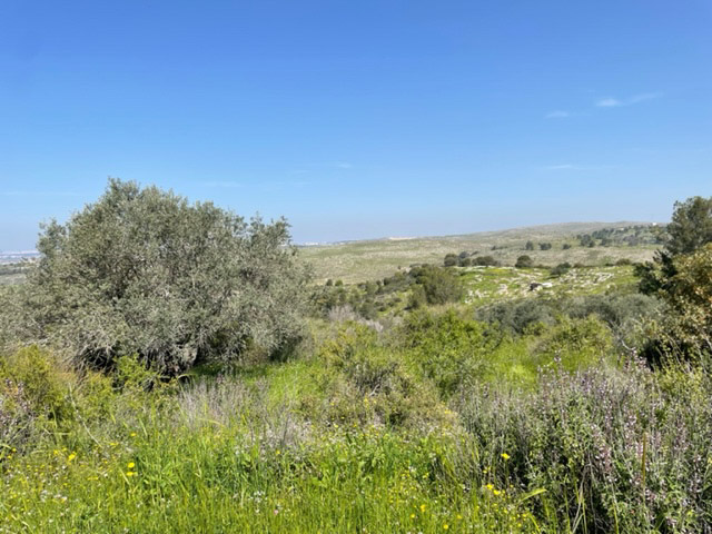 פסח 2022 לילדים במרכז, סודות הזמן האבוד