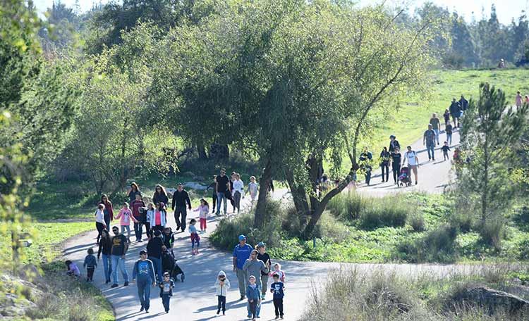 צעדת מודיעין 2022