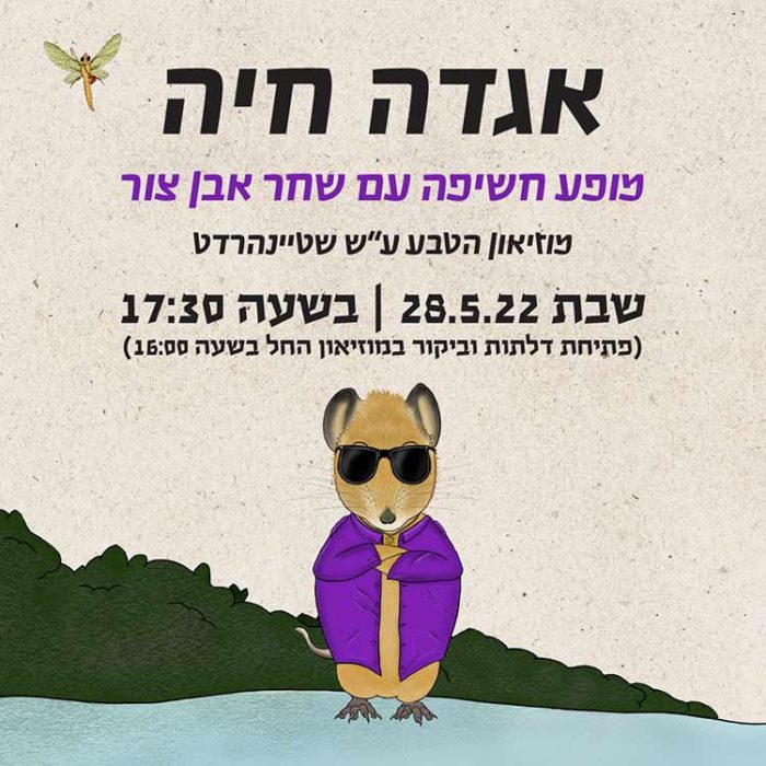 אגדה-חיה אגדה חיה, פעילות לילדים בשבת