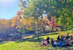 פעילות-לשבועות-בירושלים