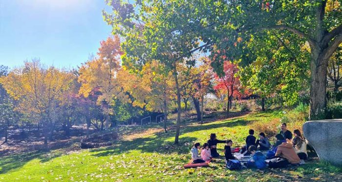 פעילות-לשבועות-בירושלים פעילות לשבועות בירושלים