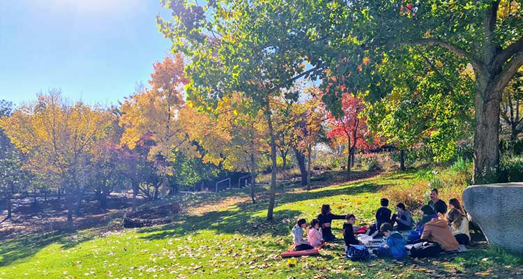 פעילות-לשבועות-בירושלים