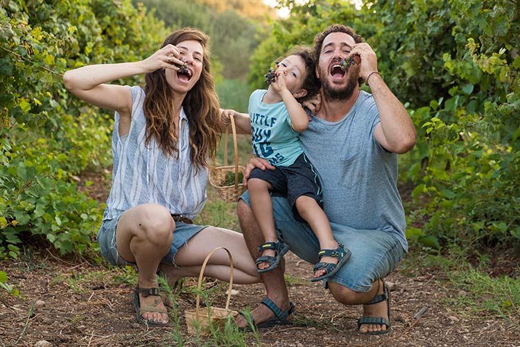 בציר ענבים במשק אופיר, פעילות לילדים בחופש הגדול, אטרקציות לילדים בצפון