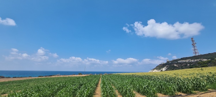 מבוך תירס ראש הנקרה, אטרקציות בצפון, אטרקציות בגליל המערבי