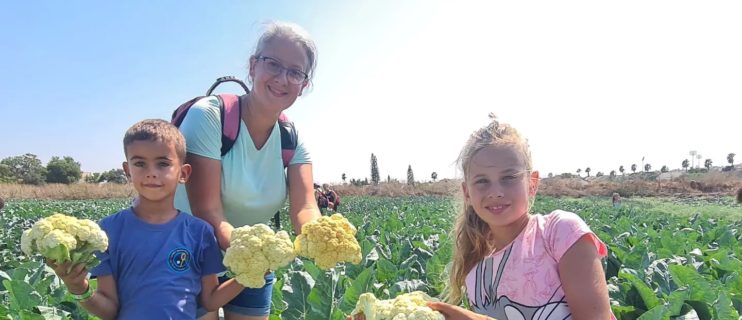 משוך בגזר מושב צופית, קטיף עצמי במרכז הארץ, קטיף עצמי לילדים ליד כפר סבא