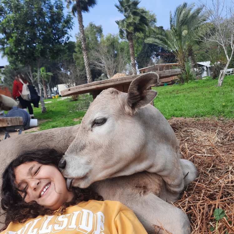 יש חוה כזאת כפר סילבר