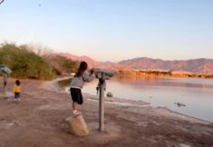 5B1D7A64-D20B-4BE6-9C4B-7FFE9C8CB0C0