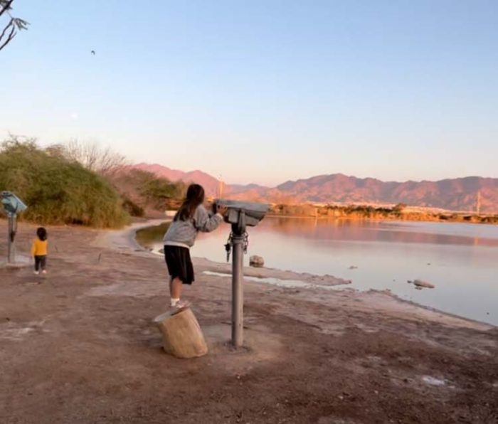 5B1D7A64-D20B-4BE6-9C4B-7FFE9C8CB0C0 תצפית ציפורים בפארק הצפרות