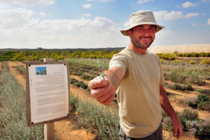 חוות שירת המדבר, פסטיבל משקים פתוחים בפתחת ניצנה פסח 2024