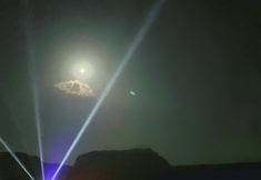 פסטיבל התמר 2023