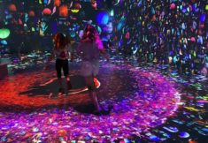 תערוכה לילדים מדעטק חיפה