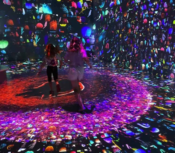 תערוכה לילדים מדעטק חיפה לקראת פורים במדעטק חיפה