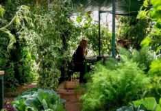 47D65F4B-5BAC-4FBD-BE17-AB9426028EEA