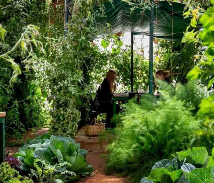 47D65F4B-5BAC-4FBD-BE17-AB9426028EEA