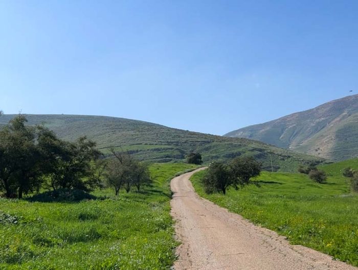 נחל פצאל: פסטיבל בקעה ירוקה 2024