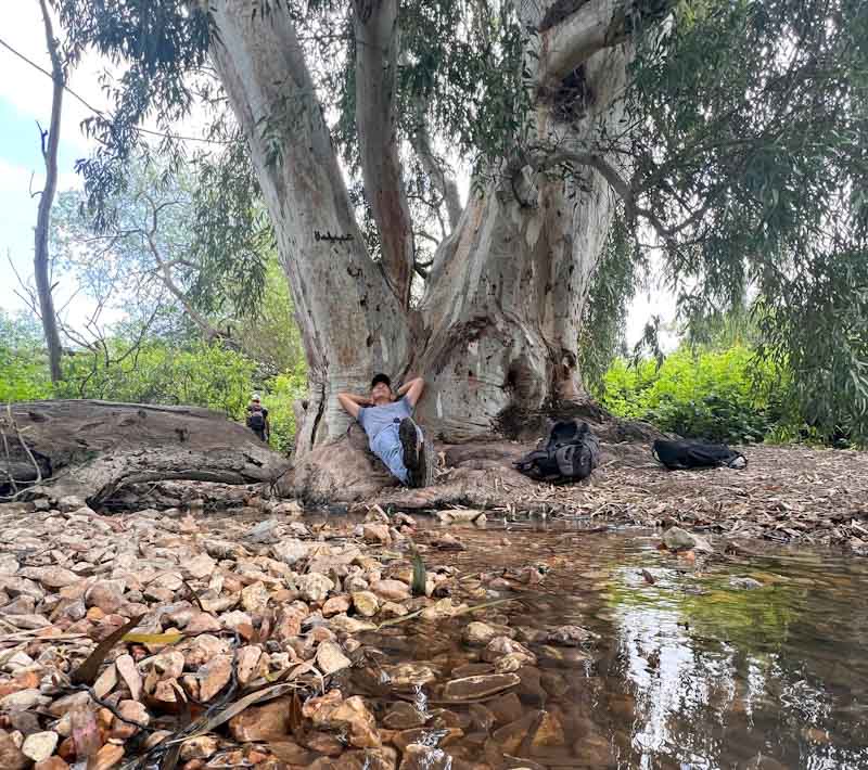 עין דמומית, מעיינות שביל מגידו נחל שלף