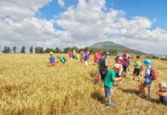 אירועי שבועות בעמק יזרעאל