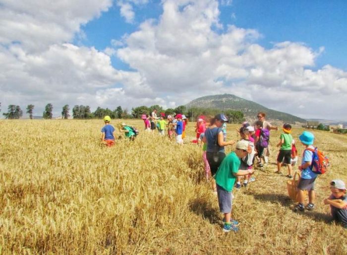 אירועי שבועות בעמק יזרעאל אירועי שבועות בעמק יזרעאל
