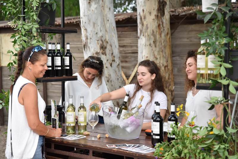 יריד יין בעמק יזרעאל