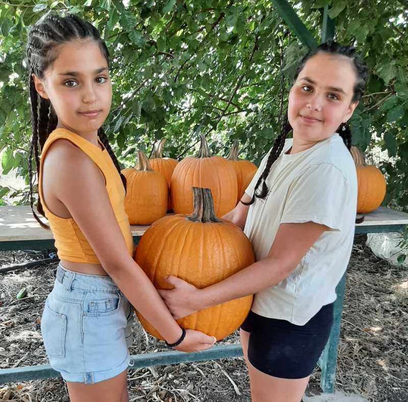 תערוכת דלועים קטופותי