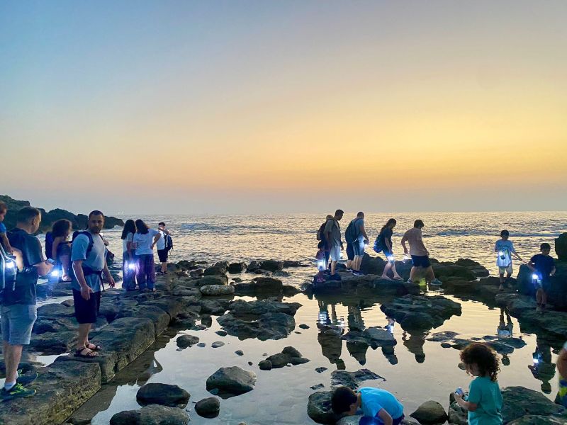 סיור עששיות נחשולים