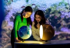 מדעטק חיפה, מוזיאון המדע בחיפה