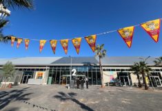 תיאטרון אלמינא נמל יפו