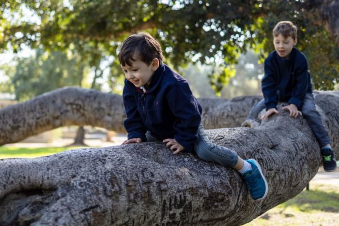 טו בשבט חצר עין שמר טו בשבט חצר עין שמר