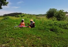 מקומות לפיקניק מגידו