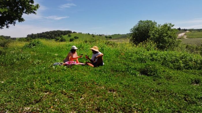 מקומות לפיקניק אזור מגידו