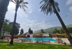 סולאיה כנרת