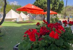 סנרייז קמפ חוקוק